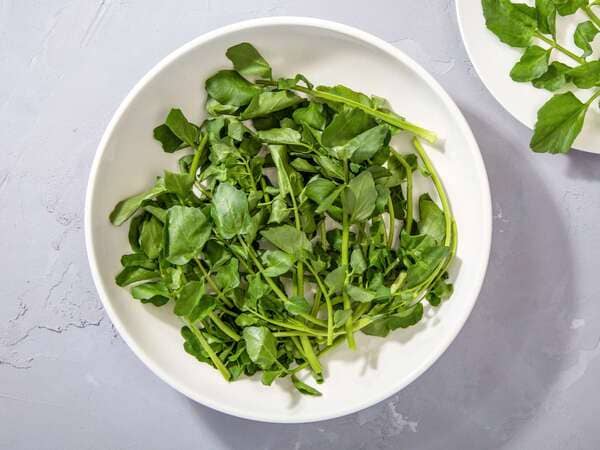 Watercress