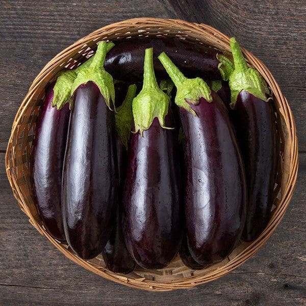 Eggplant