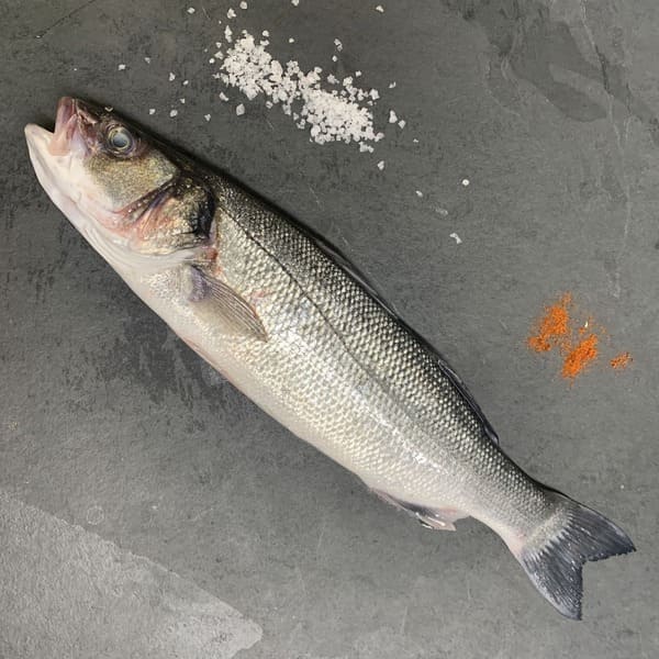Sea bass