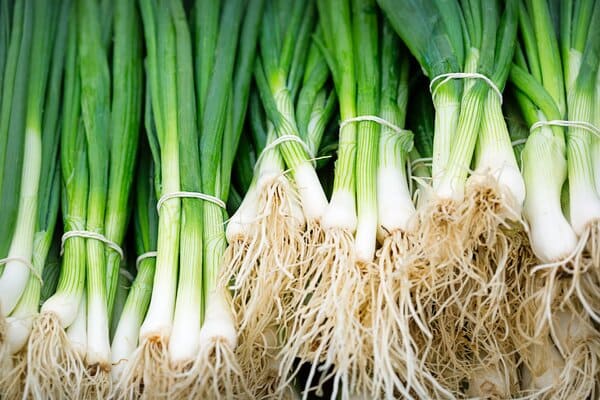 Spring onion